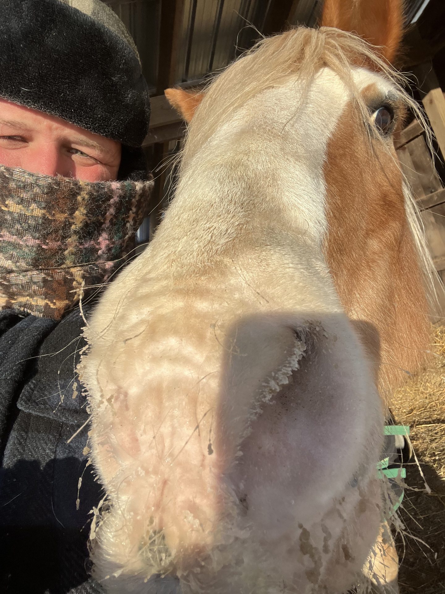 Ryan with horse in winter