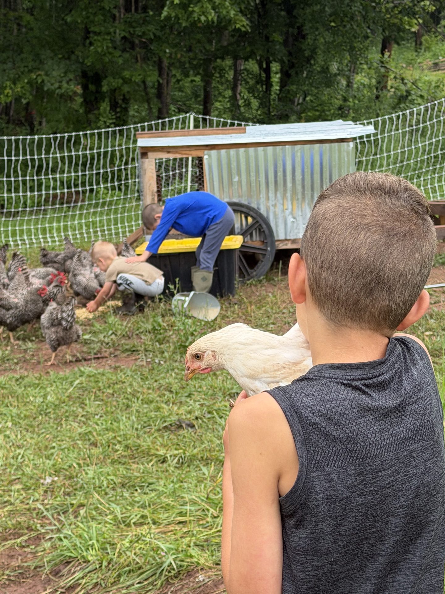 Kids at the chicken coop