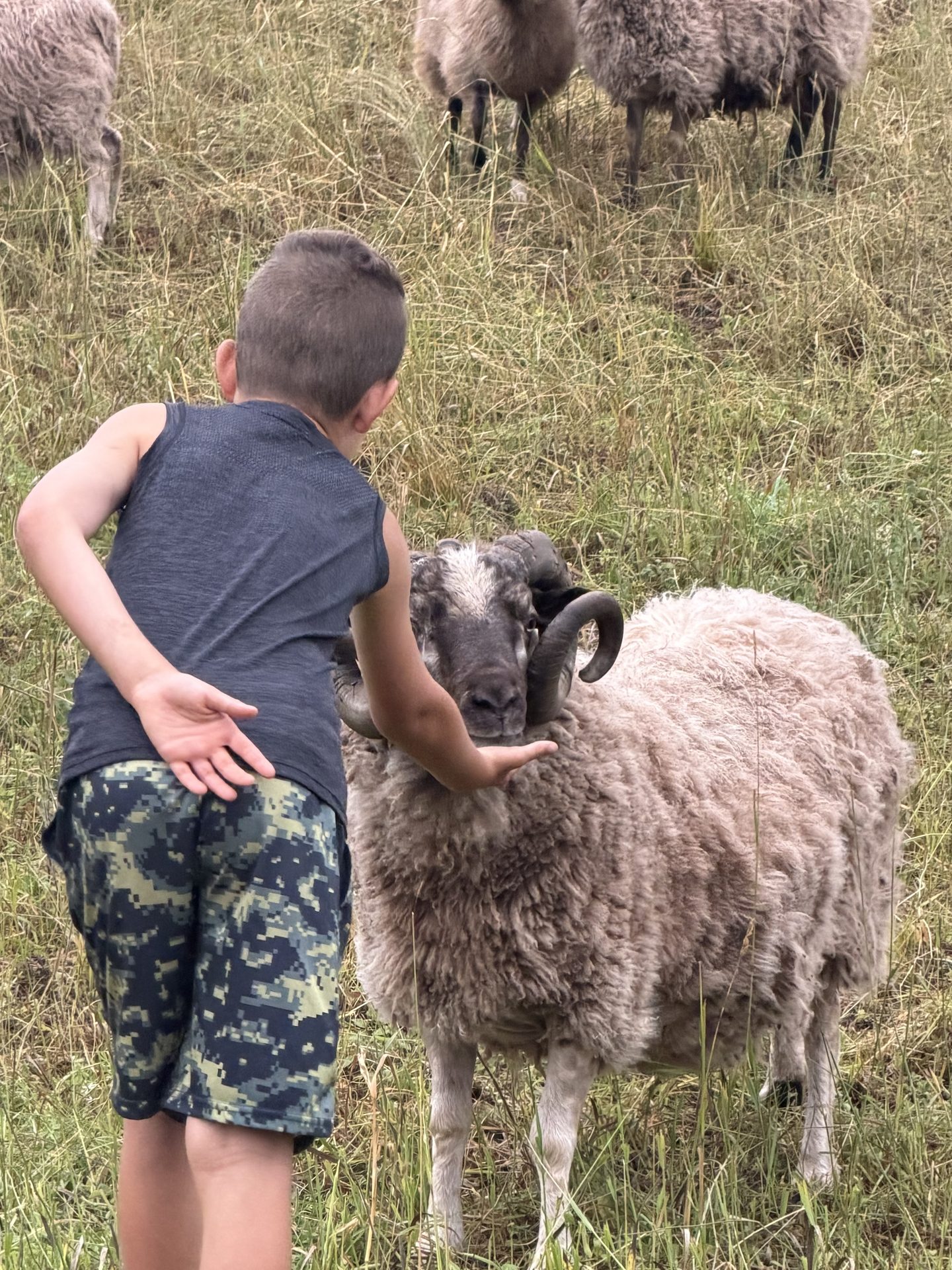 Boy with Sam in the pasture